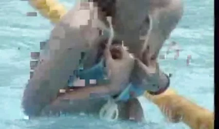 الآسيوية صعبة الشرج يسبق لها الاستمناء و عميق سكس امهات مطلقه اللسان ، وبعد الرجل الملاعين الحمار من الجمال و بقوة ينتهي في فم العاهرة
