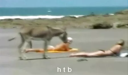 نحيلة شقراء sexe محارم يهز لها المدبوغة الحمار و إغواء الرجال الثلاثي